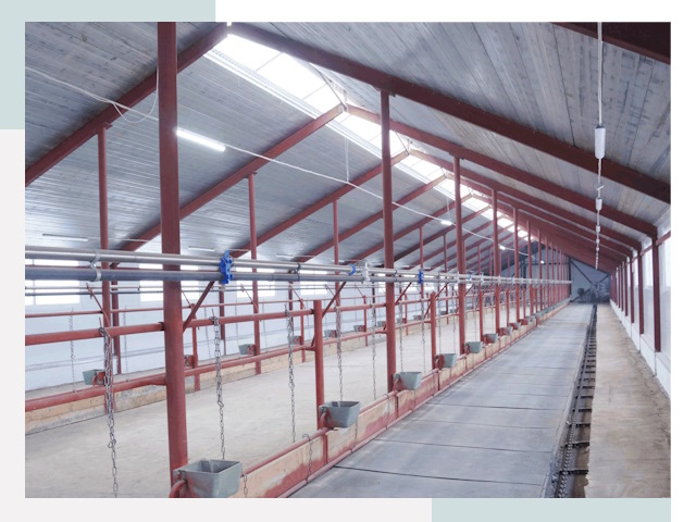 Строительство коровников в Ижевске от 623 руб.