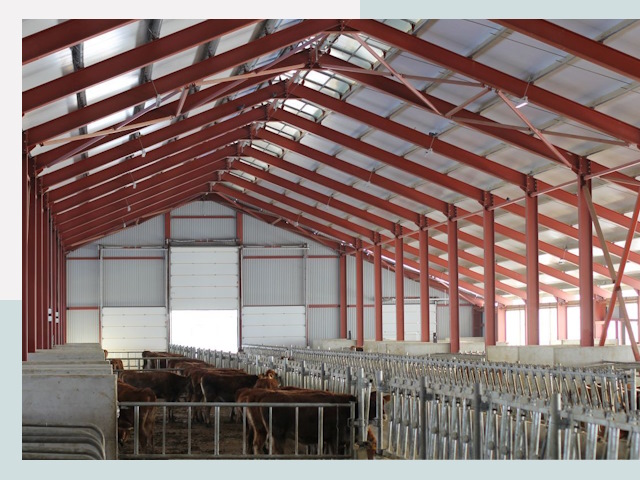 Строительство коровников в Ижевске