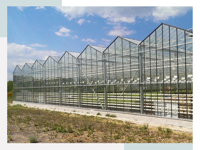 Строительство теплиц в Ижевск от 623 руб. за м²