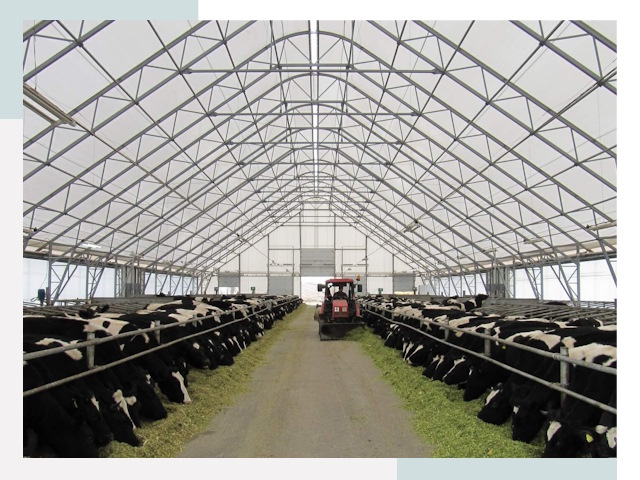 Тентовые коровники в Ижевске от 623 руб. - Надежно и доступно