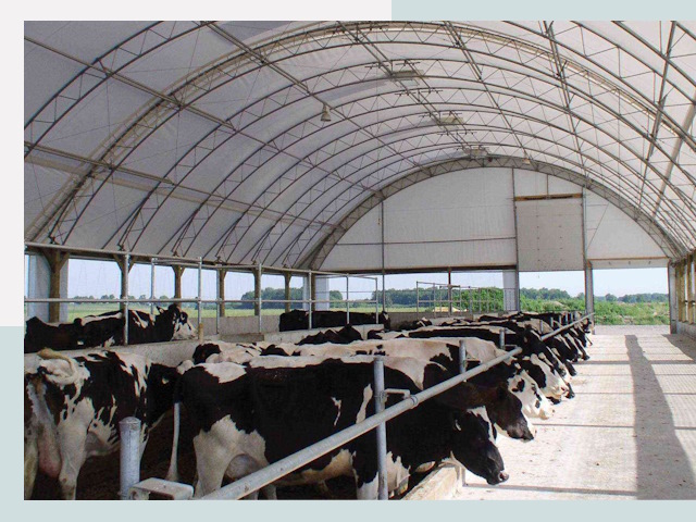 Тентовые коровники в Ижевске